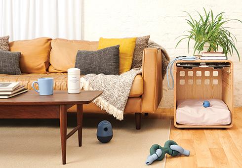 Meet Fable: Our New Pup Partner